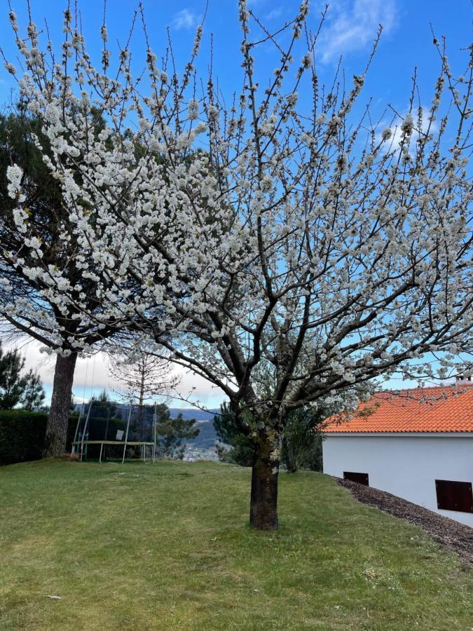 Villa Casa Catita - Douro à Baião Extérieur photo